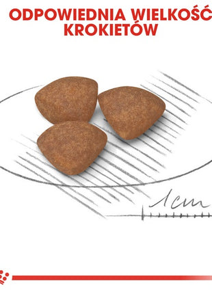 Royal Canin Mini Puppy karma sucha dla szczeniąt, od 2 do 10 miesiąca życia, ras małych 800g