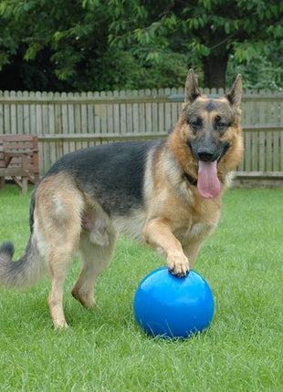 Boomer Ball L - 8" / 20cm niebieska