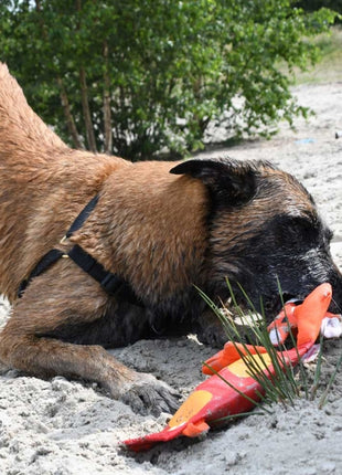 Hozies Billy Bengal aus Feuerwehrschlauch
