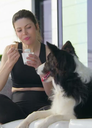 YowUp! Yogurt Dogs Prebiotics Natural