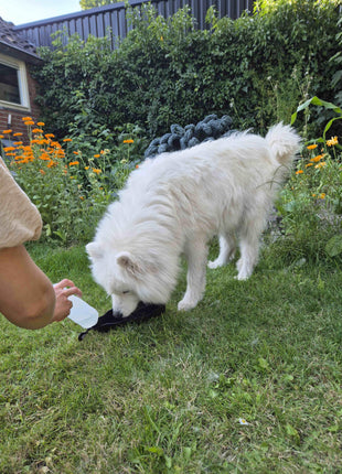 Petgear resedryckflaska – Vattenflaska och vattenskål i ett för språng